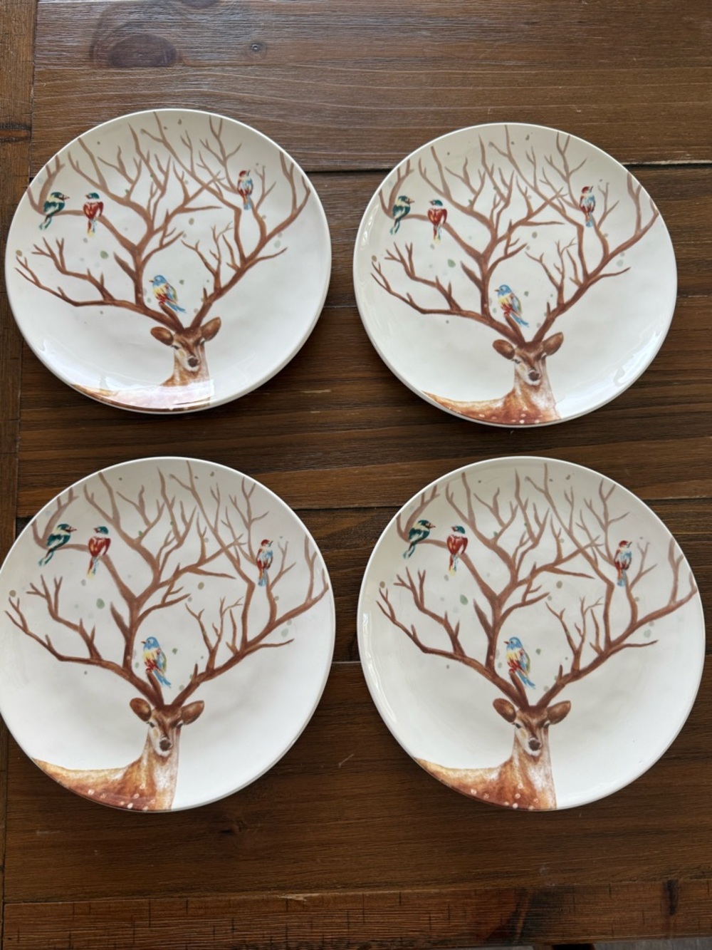Pier 1 Imports Alexander salad plates